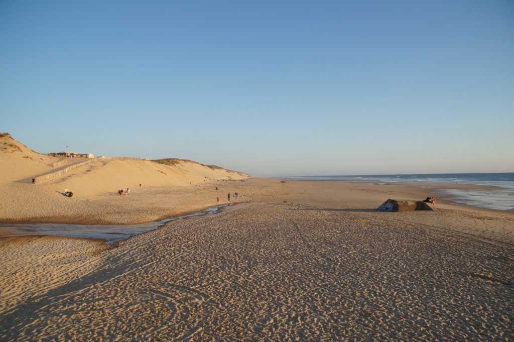 Plage centrale de Biscarrosse plage, ville dans laquelle exerce l'élagueur L'arbre heureux.