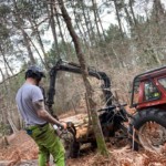 Joan Hubert, élagueur en Gironde en train d'abattre un arbre.