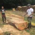 Bois coupé par l'arbre heureux, récupéré pour être transformé en mobilier intérieur ou extérieur.