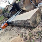 Billot qui sera transformé en plateau de bois pour du mobilier intérieur ou extérieur.