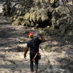 Joan Hubert, de la SARL L'arbre heureux, terminant son travail d'abattage de pins incendiés, durant l'été 2022, dans la forêt communale de La Teste de Buch.