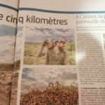 Article de presse de Sud Ouest, suite à l'incendie en Gironde en 2022, mentionnant le travail des bûcherons.